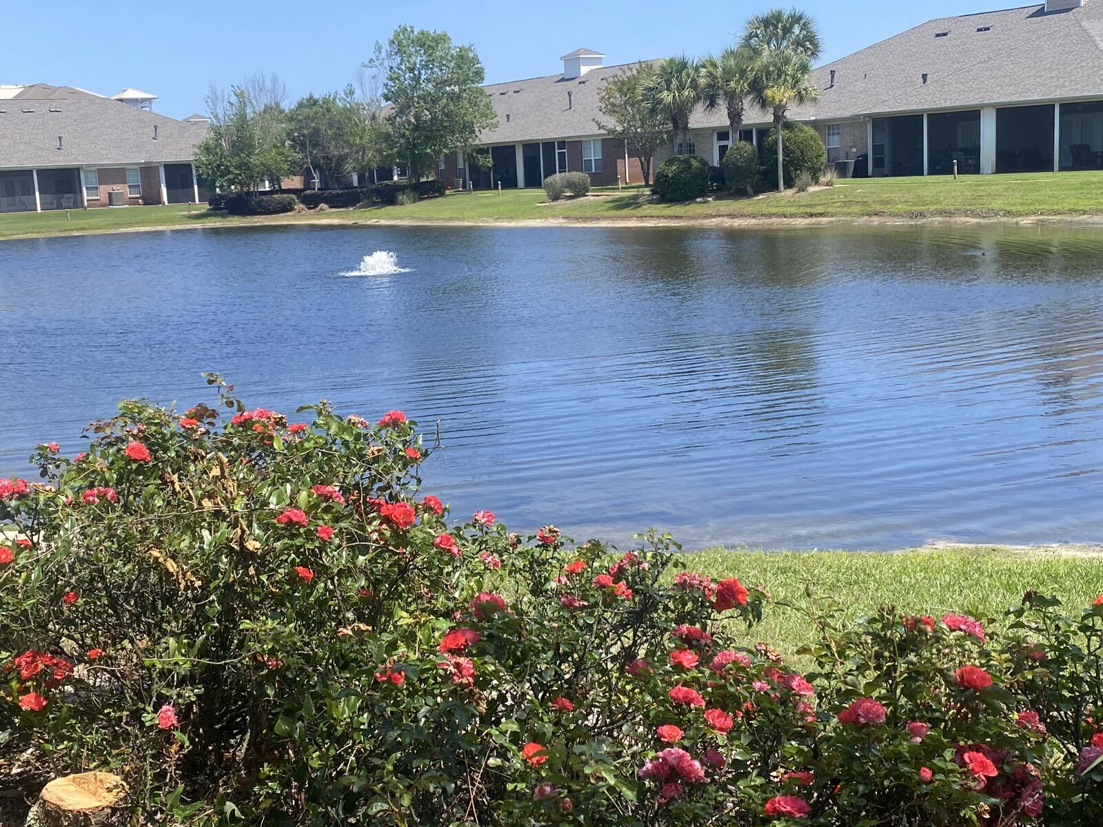 Property Photo:  227 Diamond Cove  FL 32541 