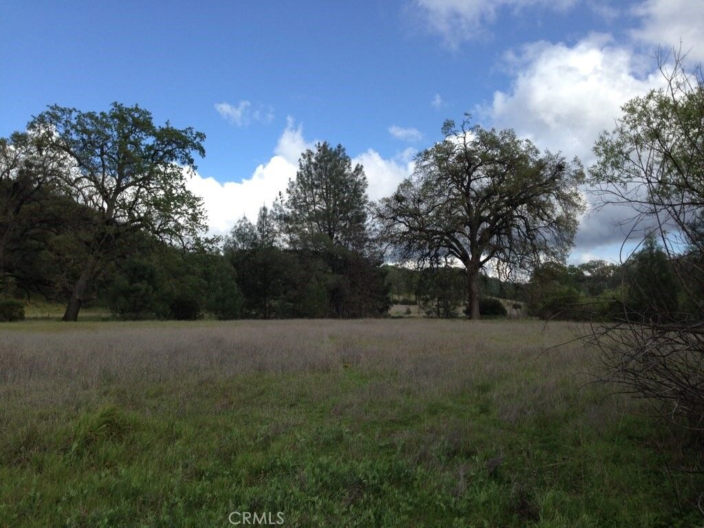 Property Photo: 10150 Rocky Creek Road CA 95457