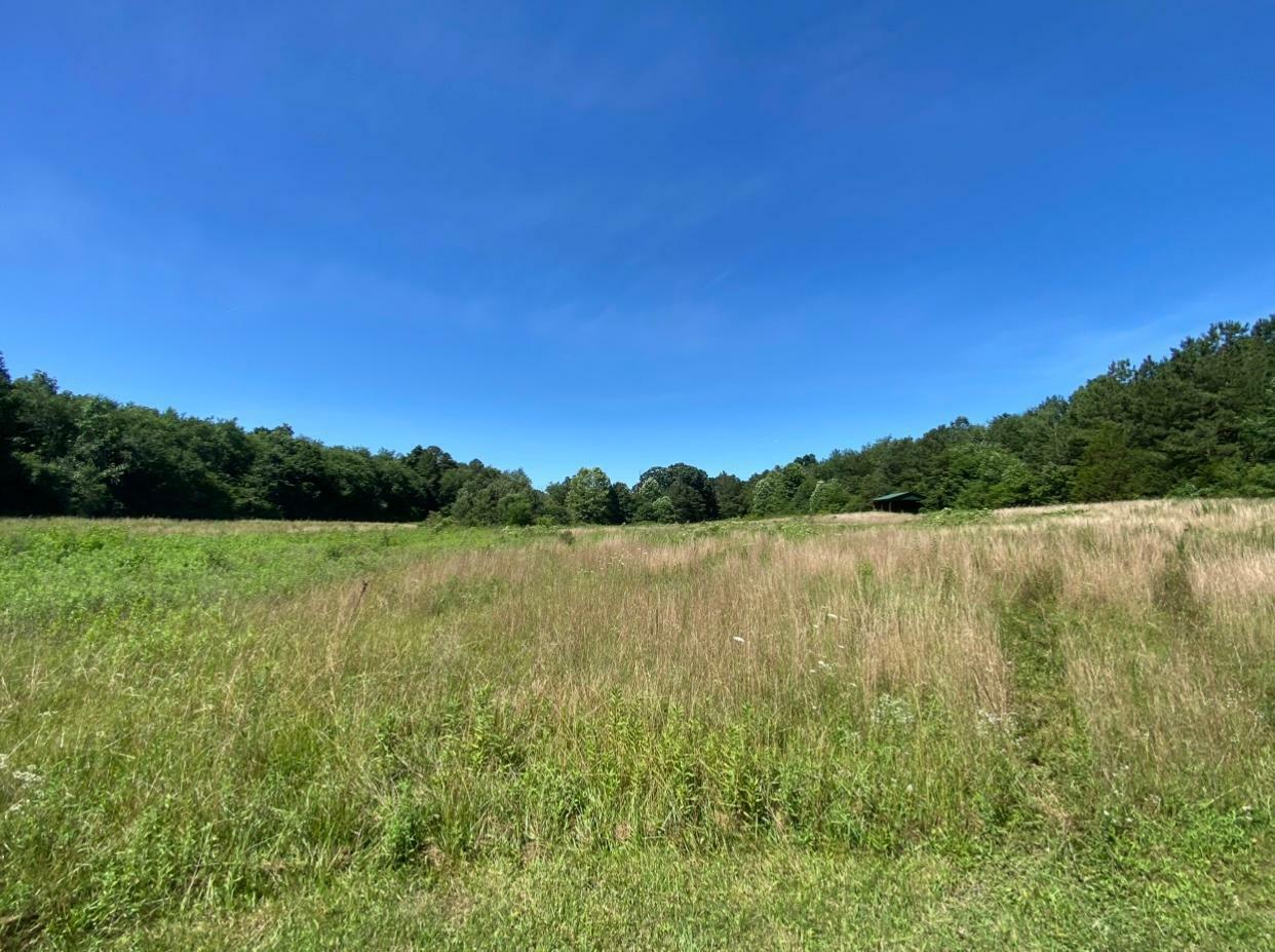 Property Photo:  25 Acres Charles Eaves Lane  TN 37307 