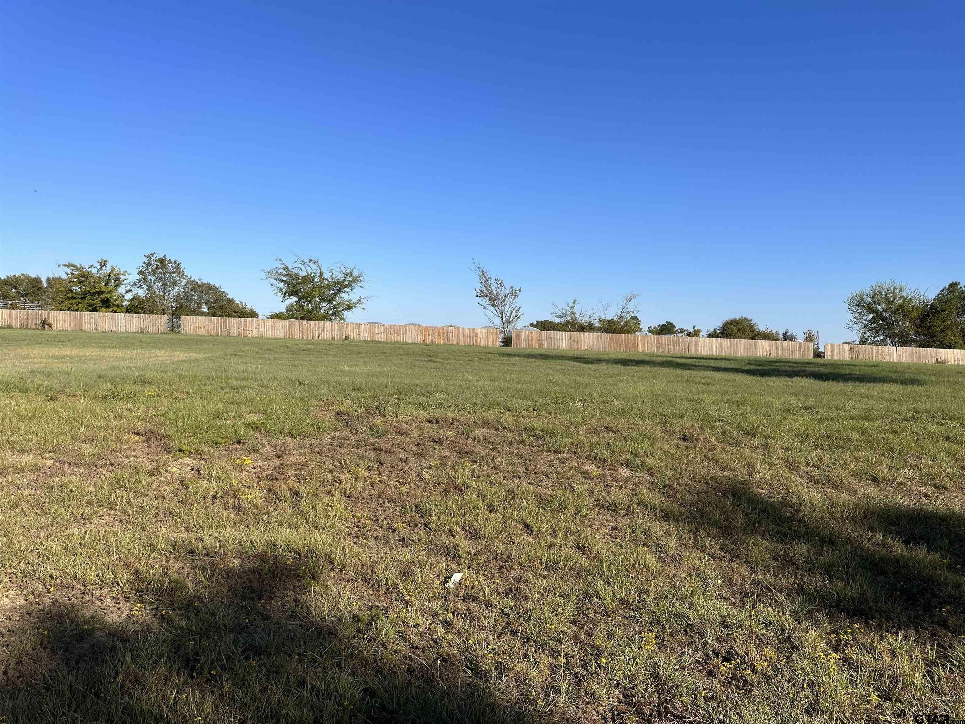 Property Photo:  81 Ryder Cup  TX 75771 