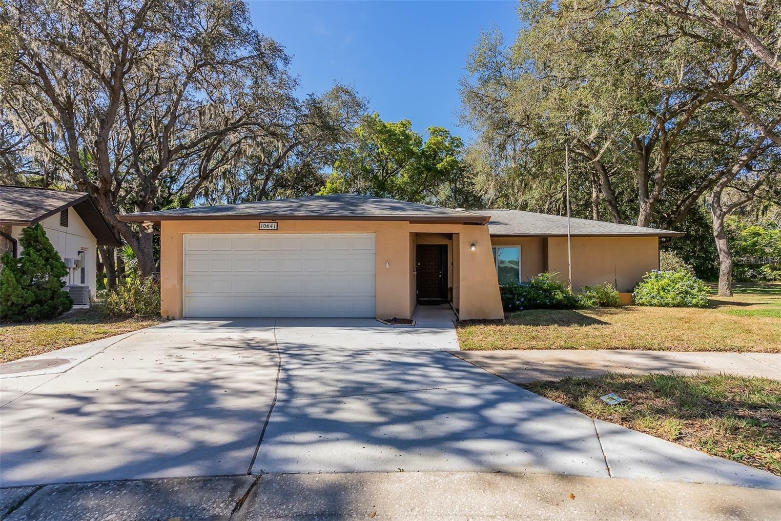 Property Photo:  10641 Timber Lane  FL 34668 