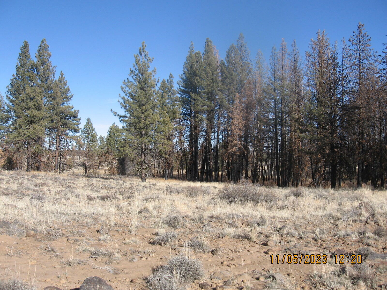 Property Photo:  Lot 8N Shasta Fir Lane  OR 97622 