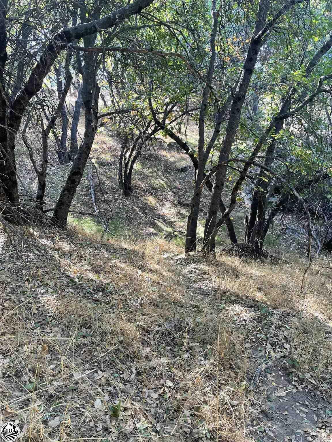 Property Photo:  21357 Ridgeview Drive  CA 95370 