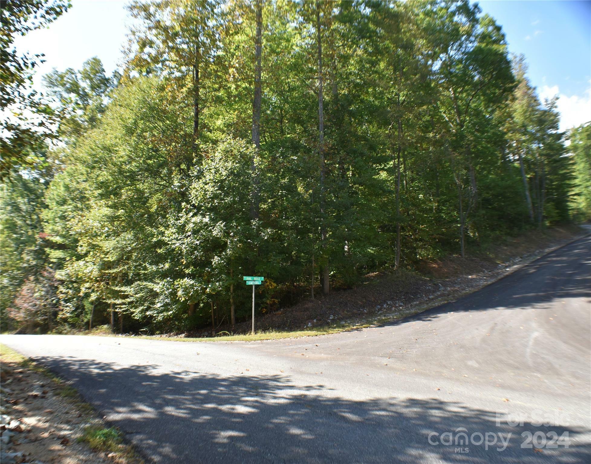 Property Photo:  000 Trail Ridge Drive  NC 28752 