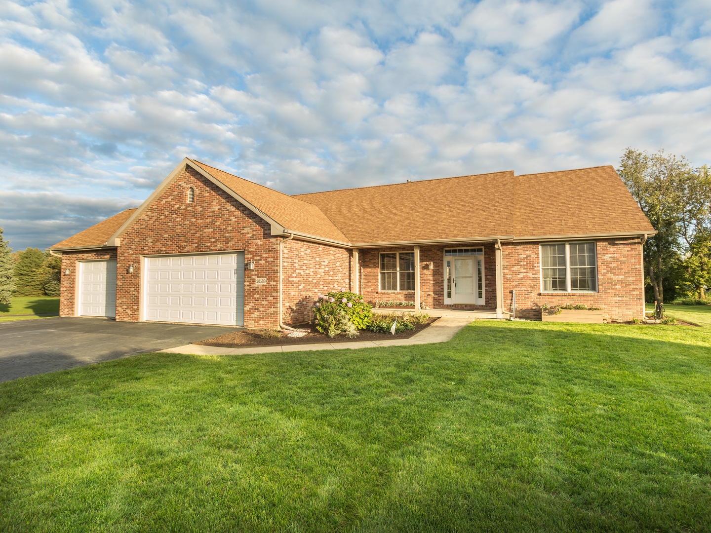 Property Photo:  20509 Demings Drive  IL 60152 