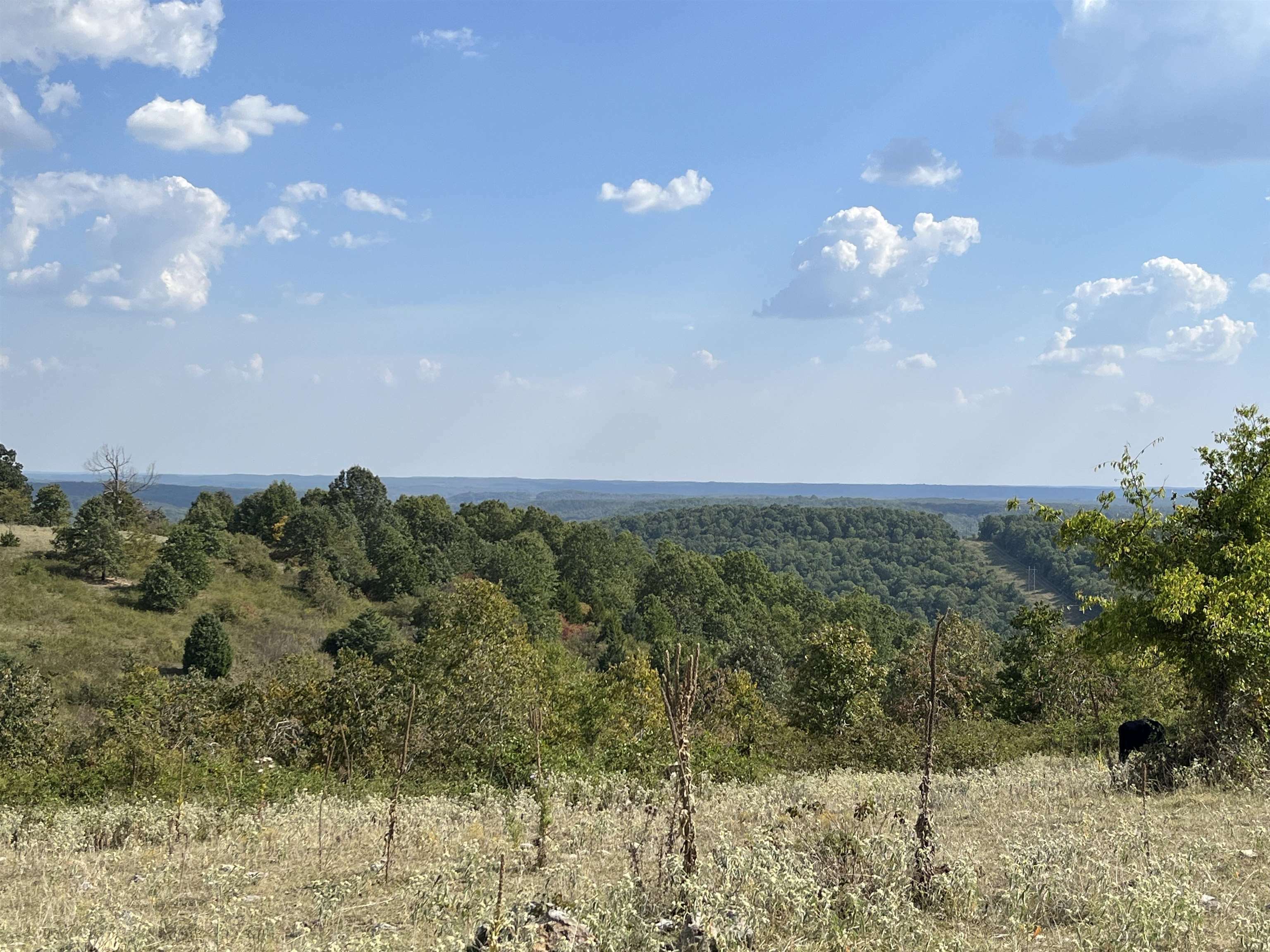 Property Photo:  Tbd Tower Rd  AR 72513 