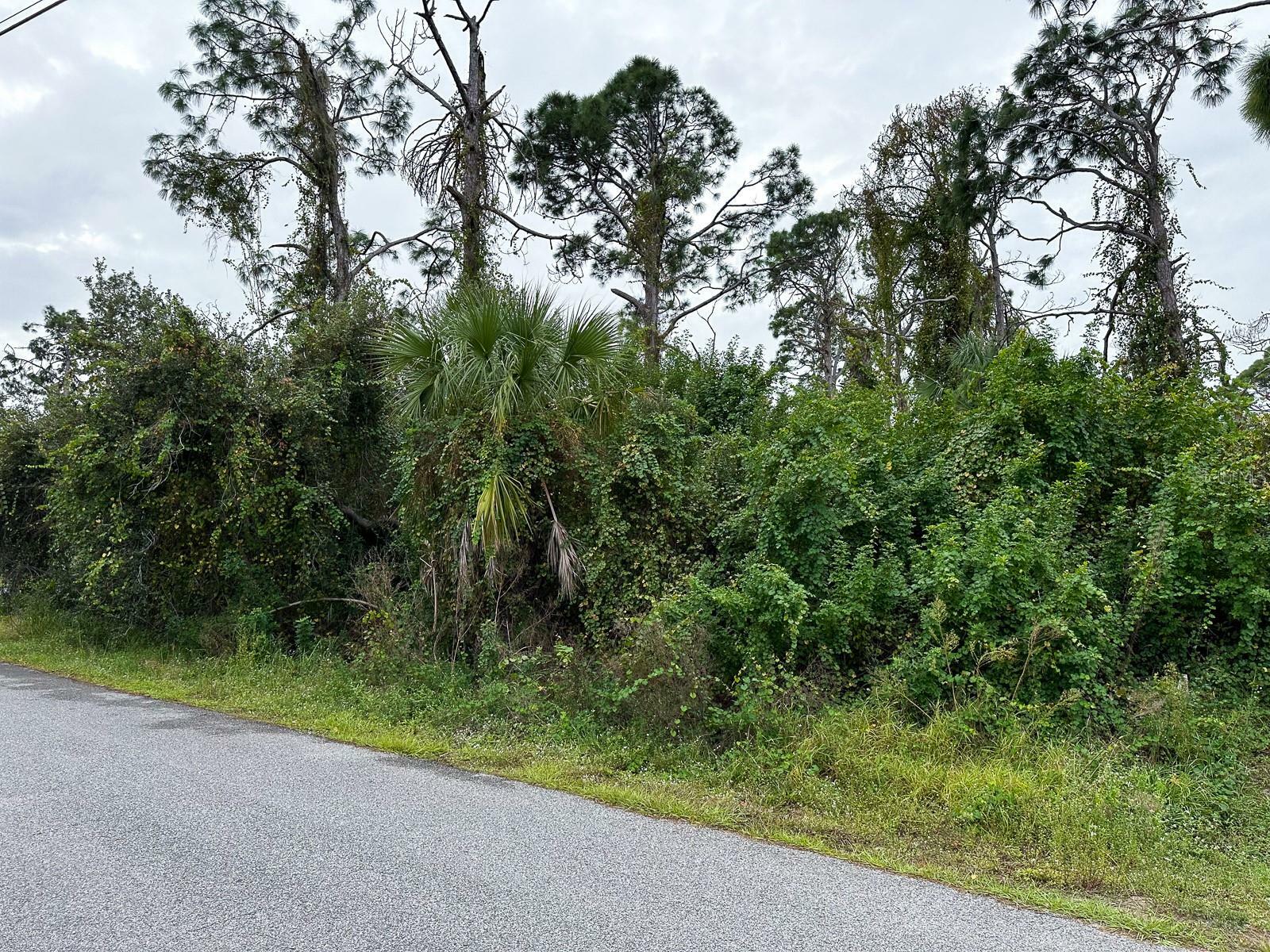 Property Photo:  Lot 5 Ensley Terrace  FL 34288 