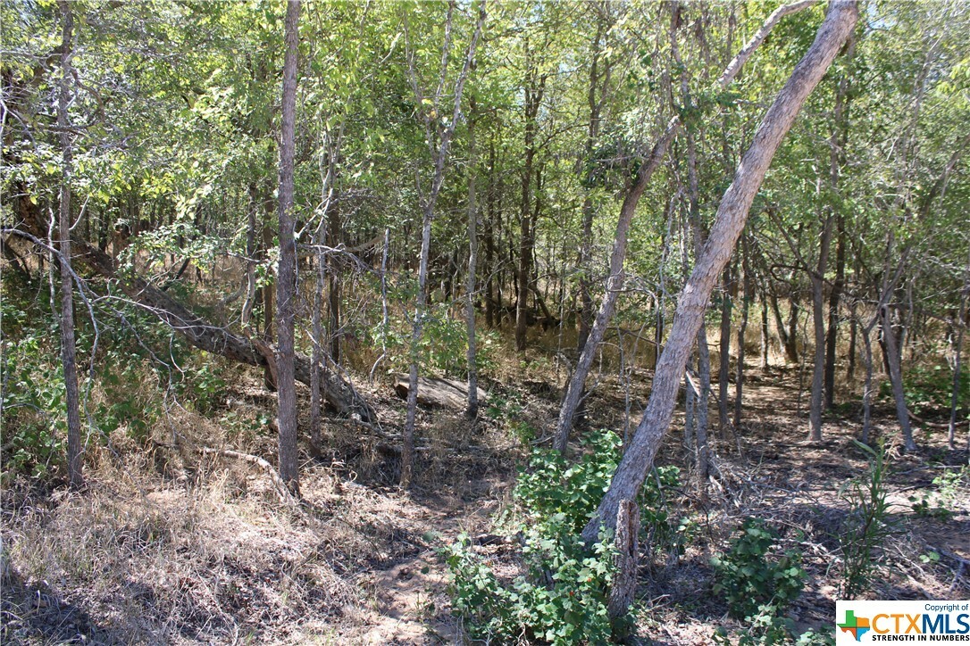 Property Photo:  103 & 105 W Kikipua Lane  TX 78602 