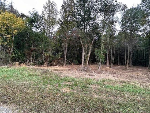 Property Photo:  Lot 5 6 Co Rd 1653  AL 35058 - CULLMAN 