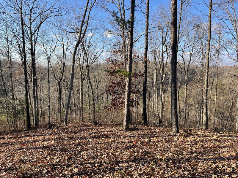 Property Photo:  Lot 7 Sandstone Point  KY 42633 