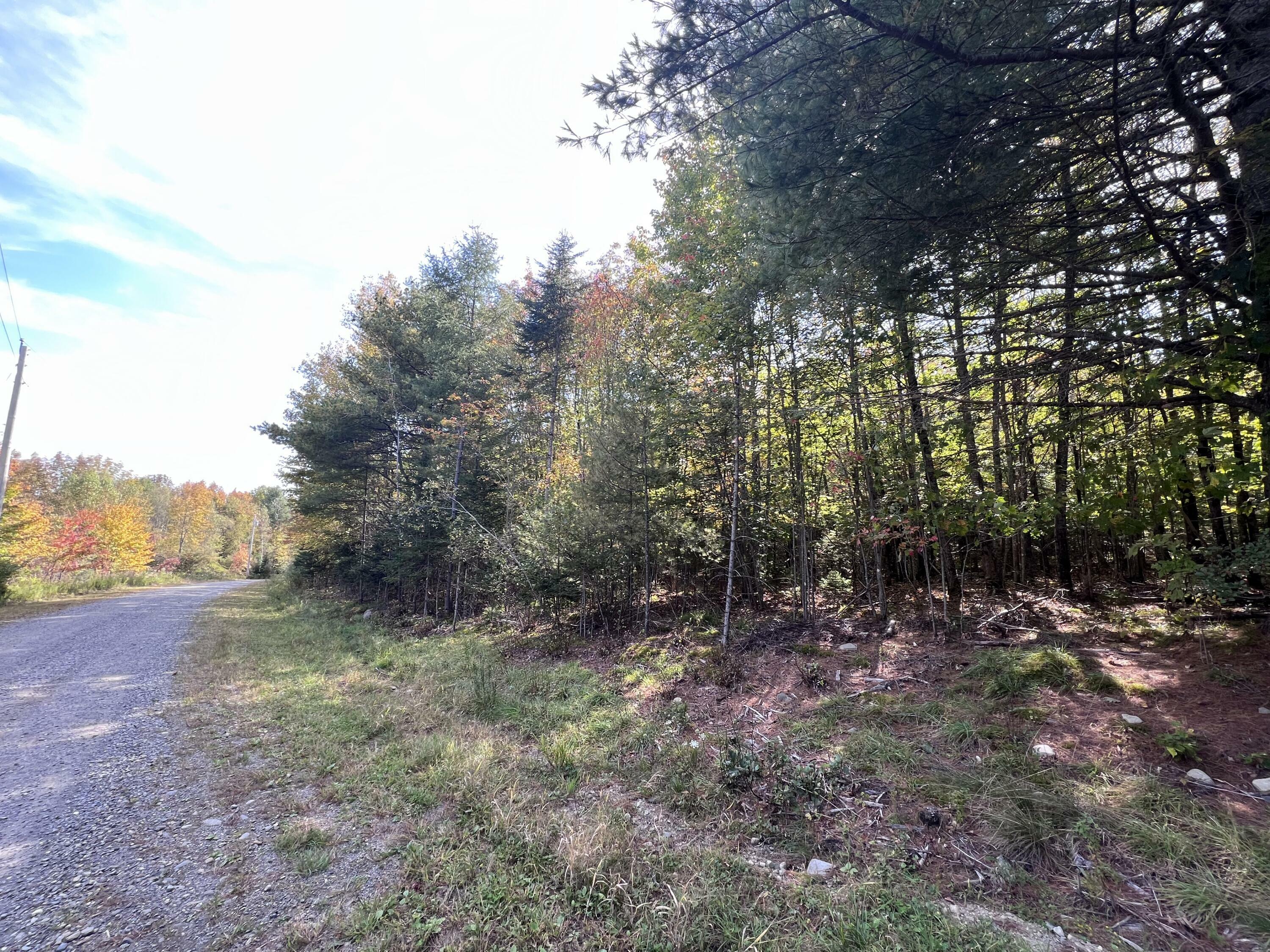 Property Photo:  Lot 21 Grand View Road  ME 04971 