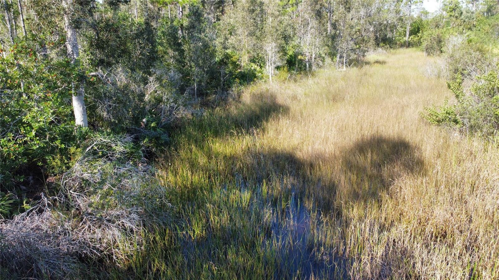 Property Photo:  32464 Oil Well Road  FL 33955 