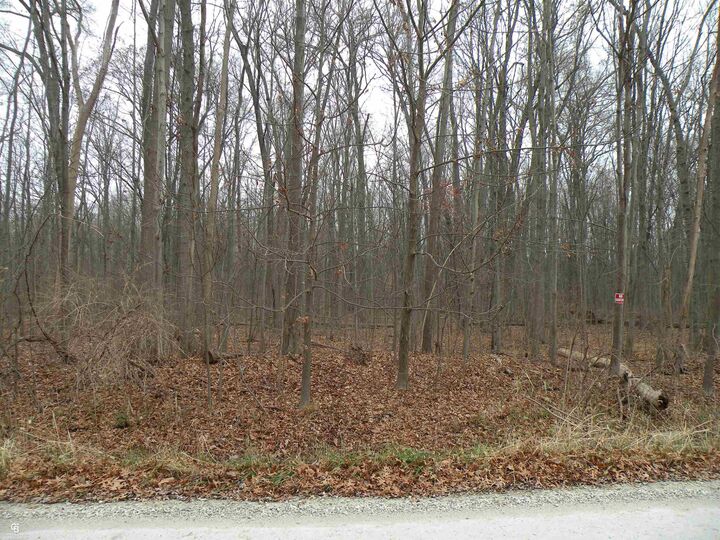 Property Photo:  00 Lindsey Road  MI 48054 