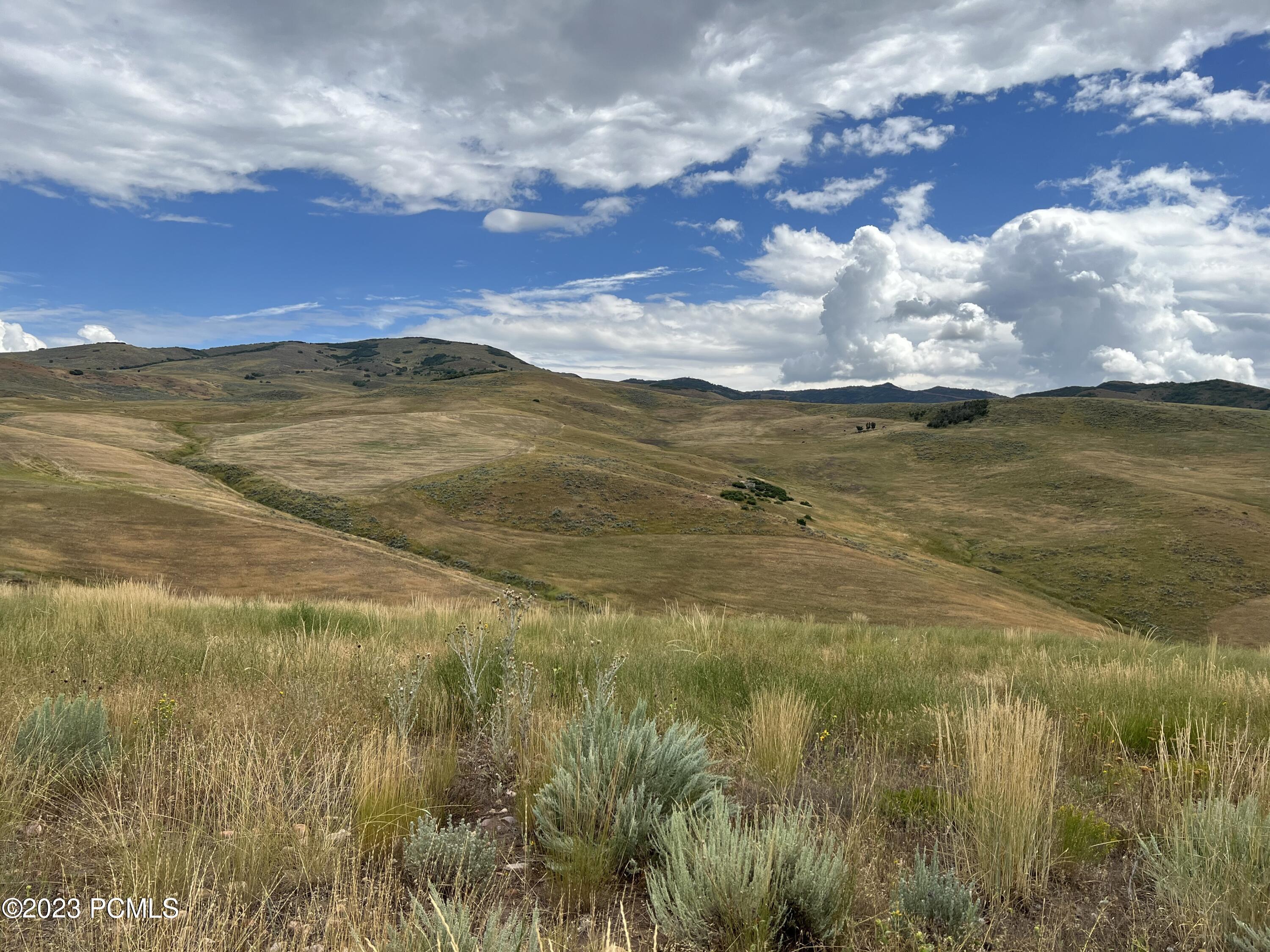 Property Photo:  2750 S Kippen Lane  UT 84050 