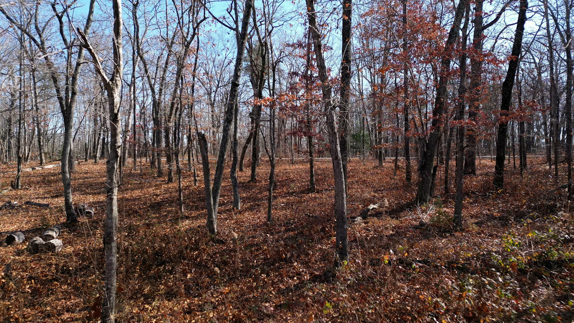 Property Photo:  7907 Hixson Springs Rd 17  TN 37377 