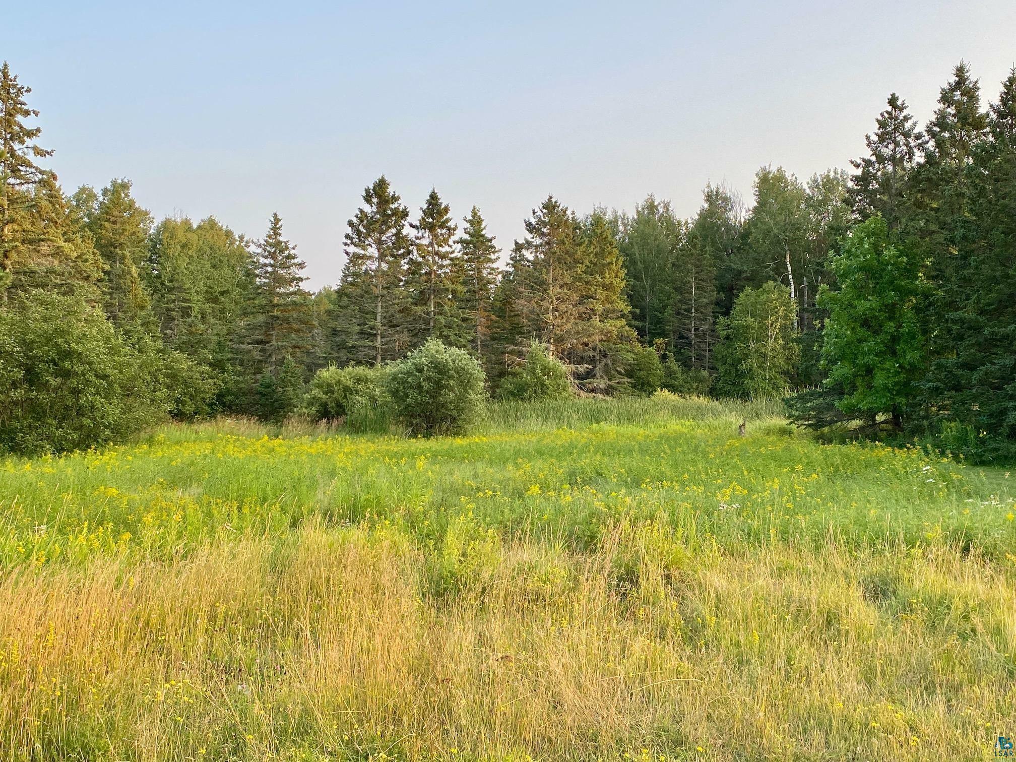 Property Photo:  Xxx Stanley Rd  MN 55616 