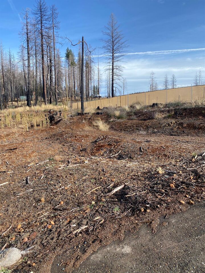 4921 Edgewood Circle  Grizzly Flats CA 95636 photo