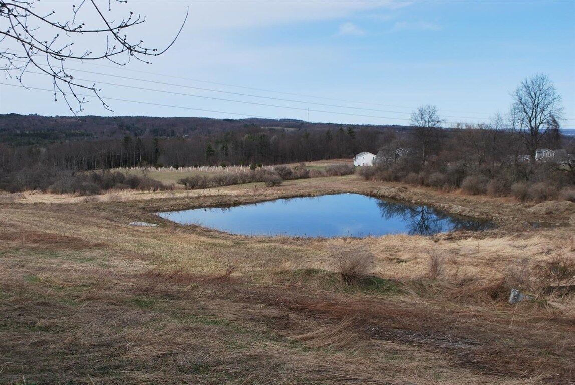 Property Photo:  0 Millard Hill Rd  NY 14867 