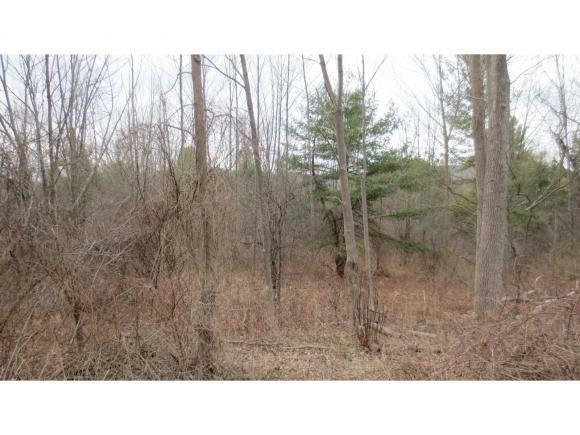 Property Photo:  0 Ellis Hollow Road  NY 14850 