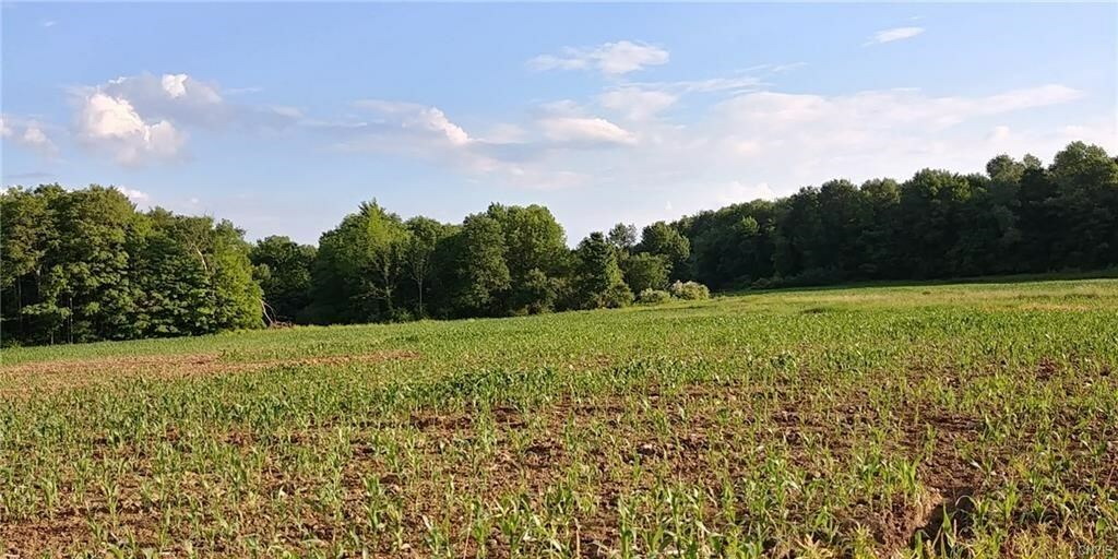 Property Photo:  0 Deans Creek Rd Road 230ac  NY 14883 