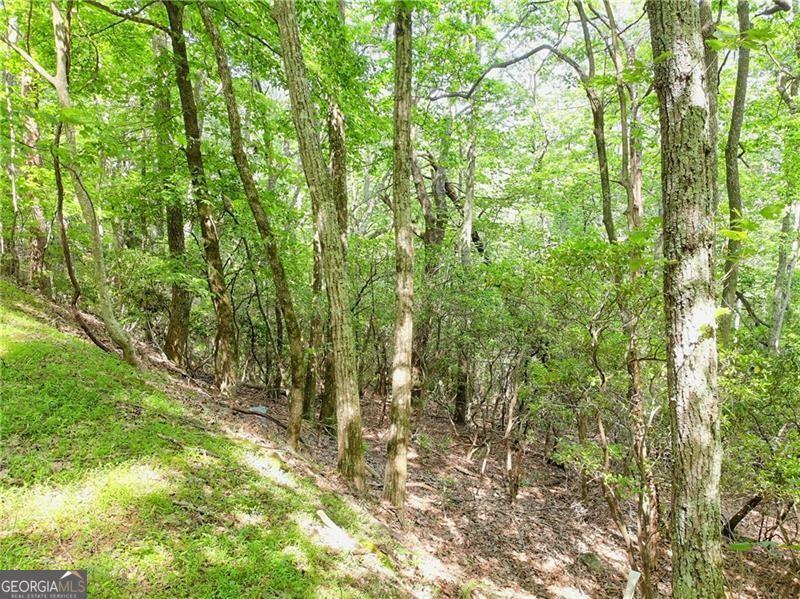 Property Photo:  3023 Wild Turkey Bluff  GA 30143 