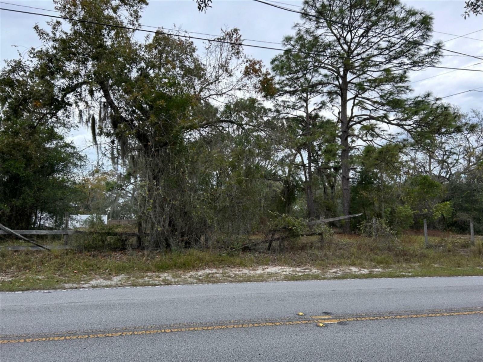Property Photo: 9333 Hilltop Drive FL 34654