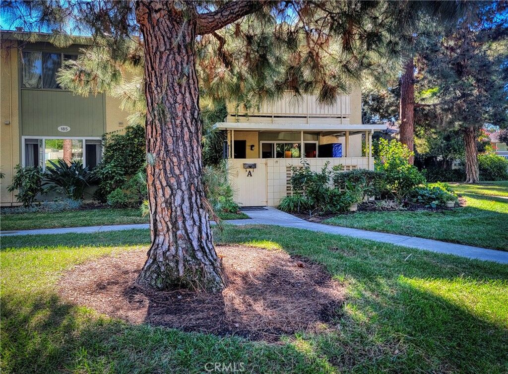 Property Photo:  185 Avenida Majorca  CA 92637 