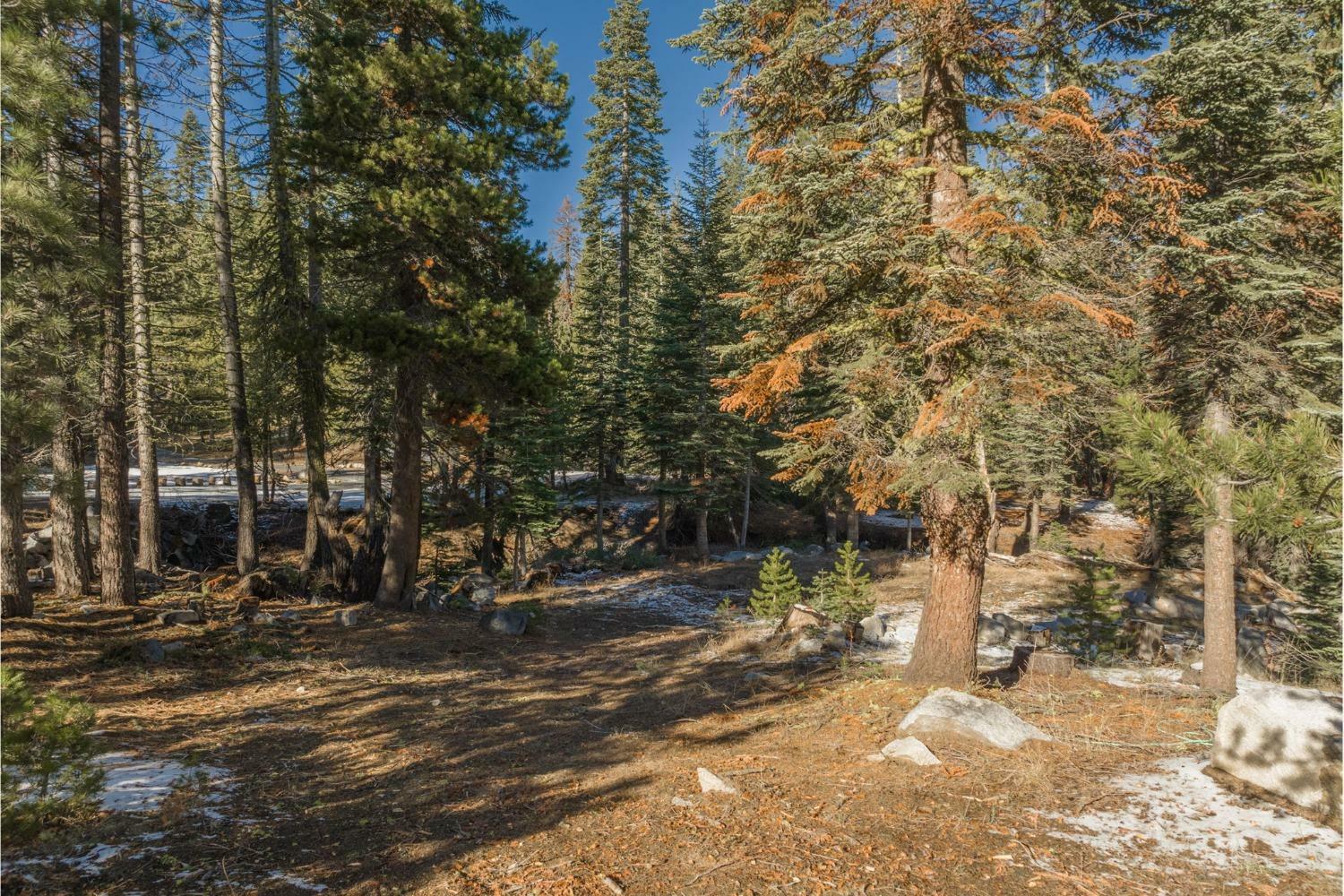 Property Photo:  422 Salt Springs Trail Trail  CA 95223 