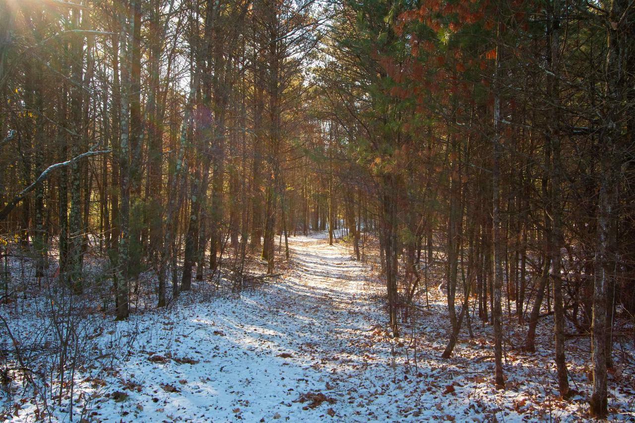 Property Photo:  Lot 6 Natures Way Parcel # 1801672  WI 54494 