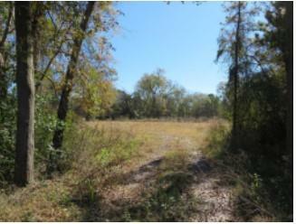 Property Photo:  3513 (1) Old Union Rd  TX 75904 