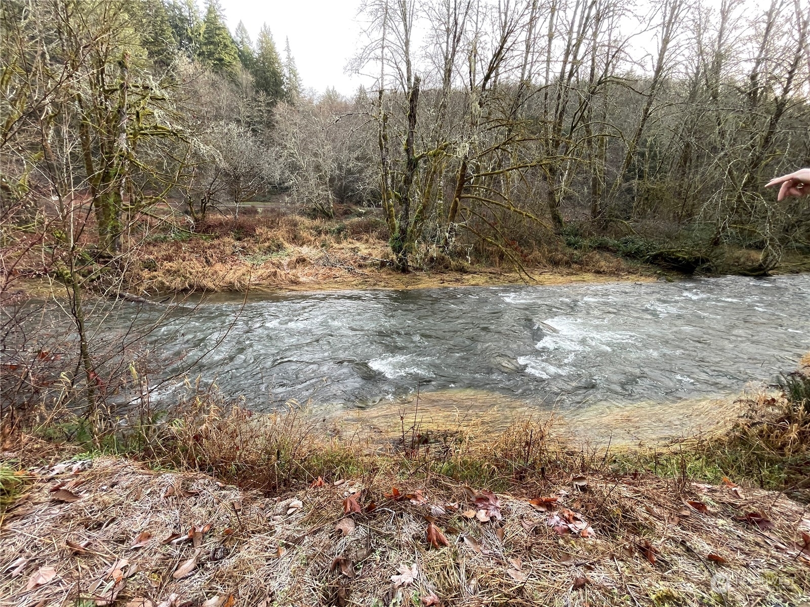 Property Photo:  0 Na Germany Creek Road  WA 98632 