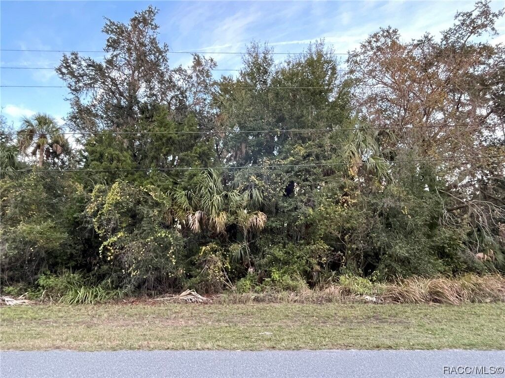 Property Photo:  11631 W Timberlane Drive  FL 34448 