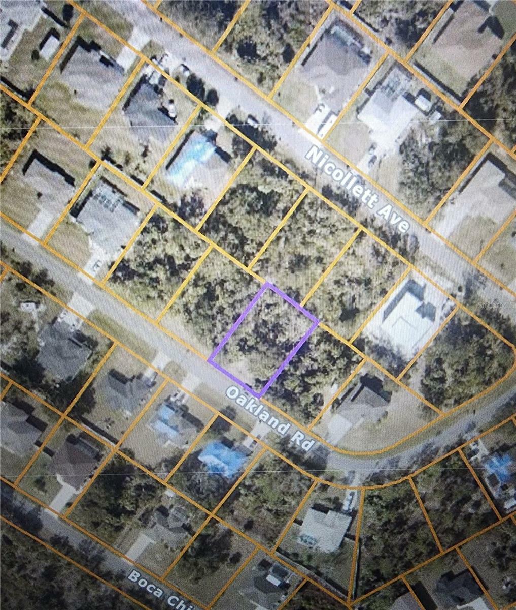 Property Photo: Oakland Lot 18 Road FL 34286
