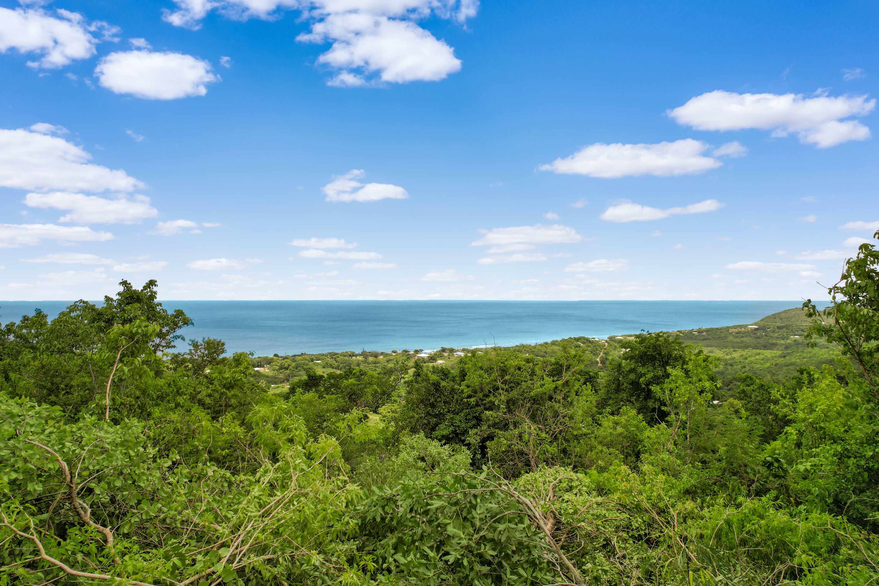 Property Photo: 230 Belvedere Nb VI 00820