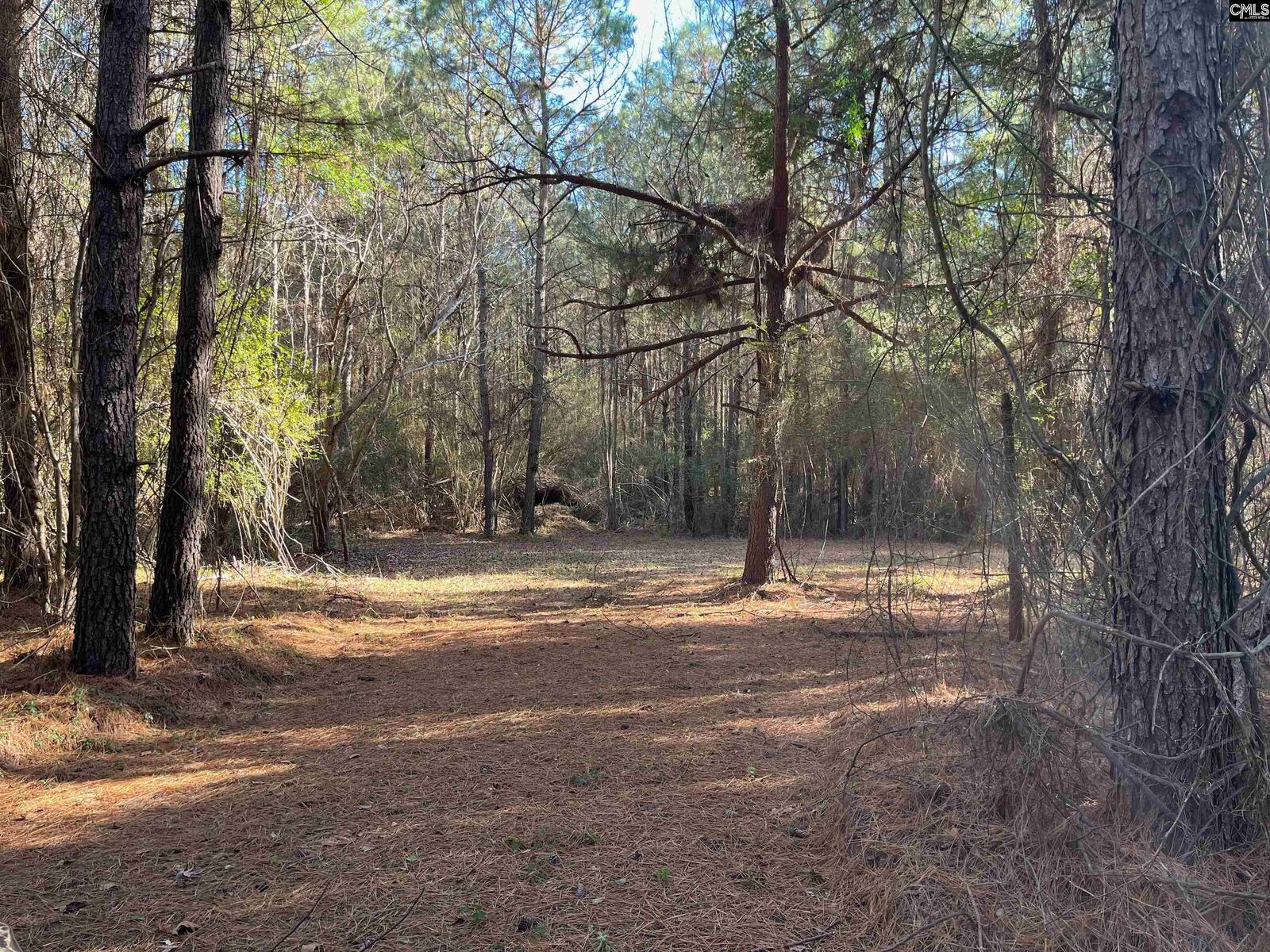 Property Photo: 0 Koala Bear SC 29164