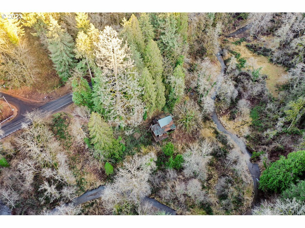 Property Photo:  3901 Canyon Creek Rd  WA 98671 