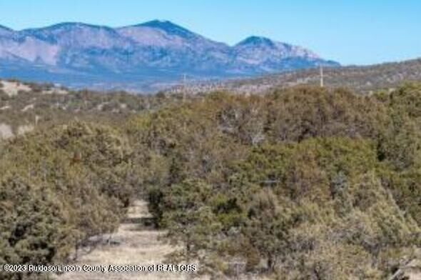 Property Photo:  L340 Santiago Circle 3  NM 88312 