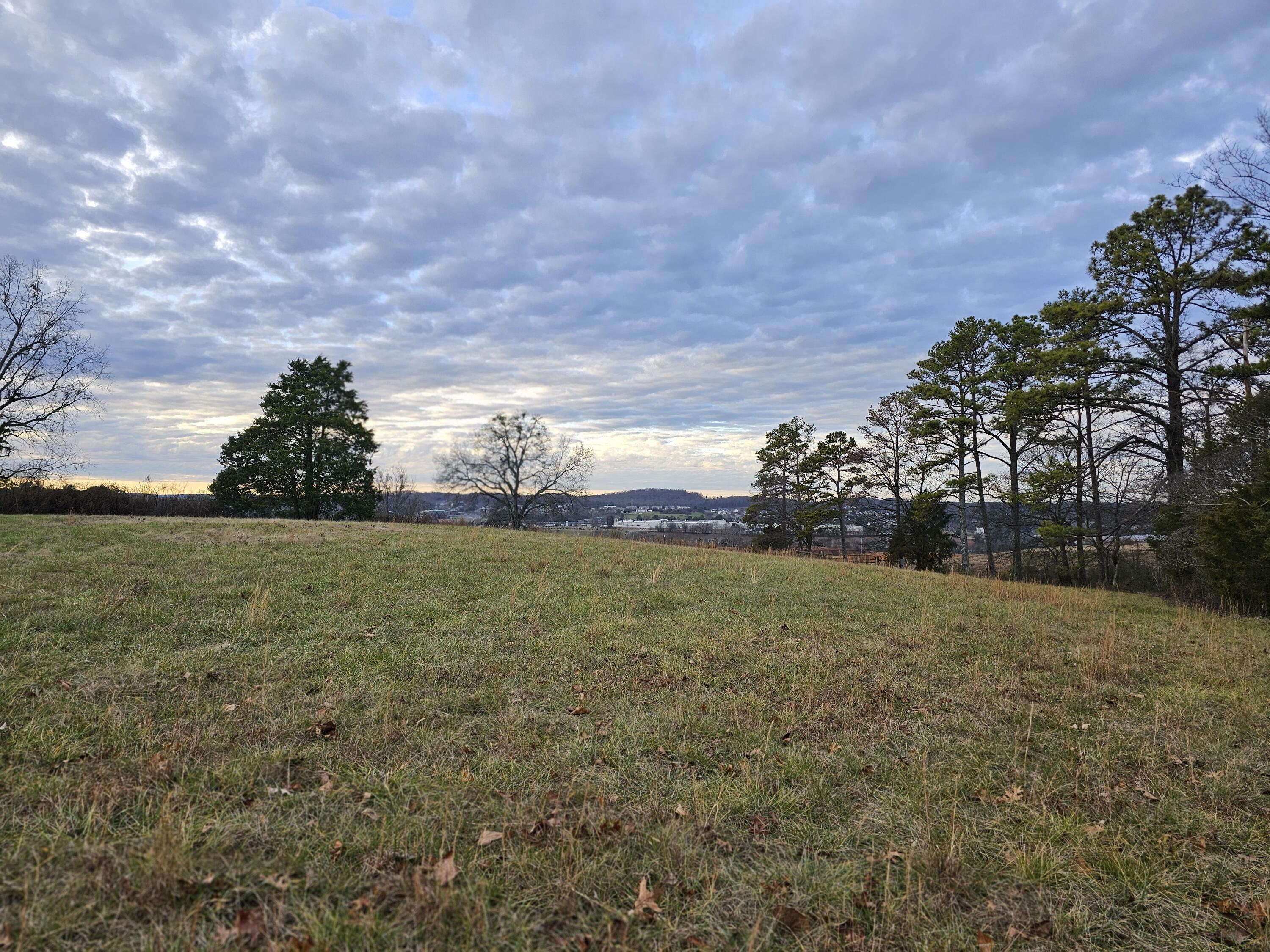 Property Photo:  Lot 1 Wilkinson Road Road NE  TN 37323 