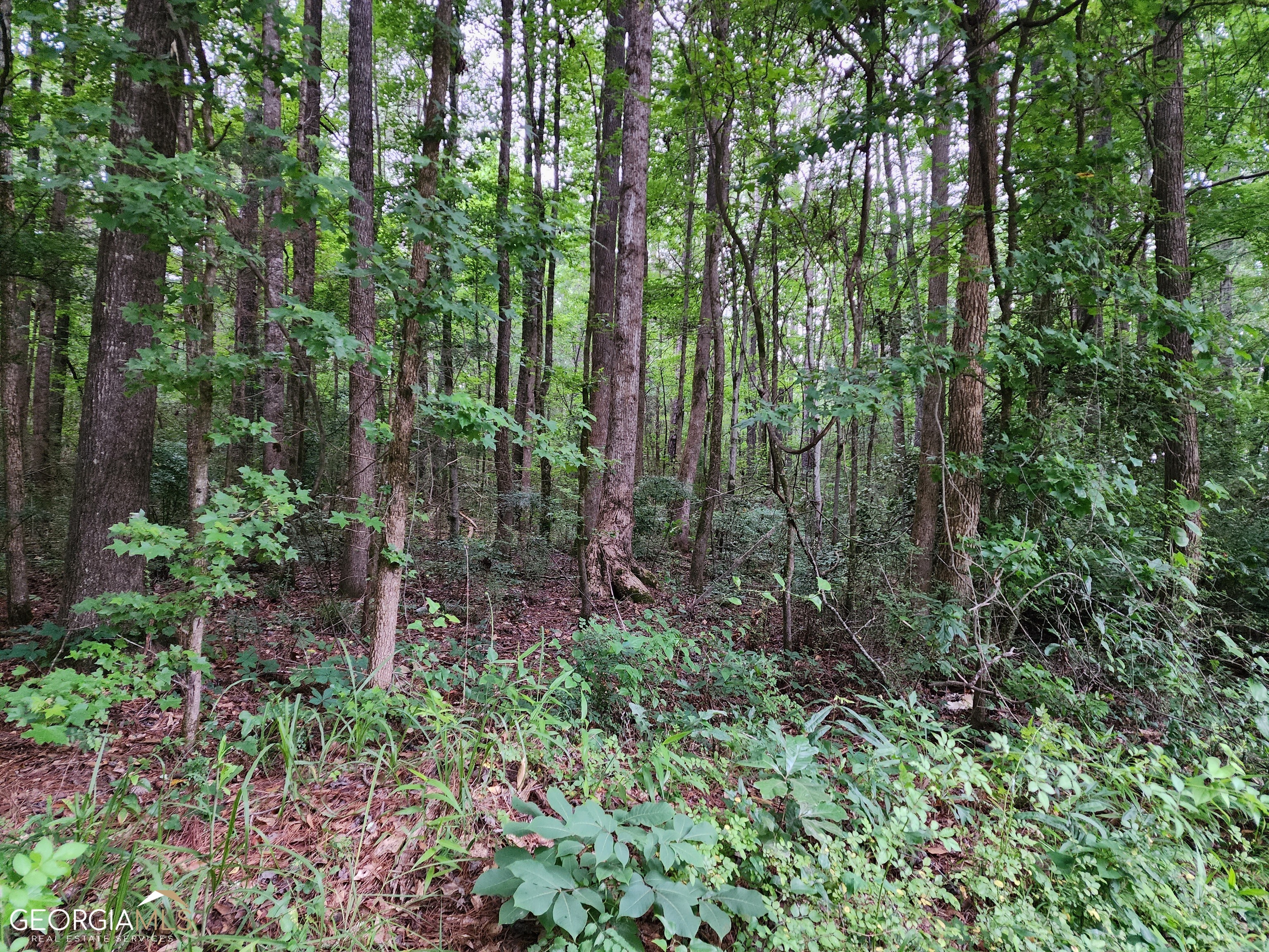 Property Photo:  0 Deans Lane  GA 30233 