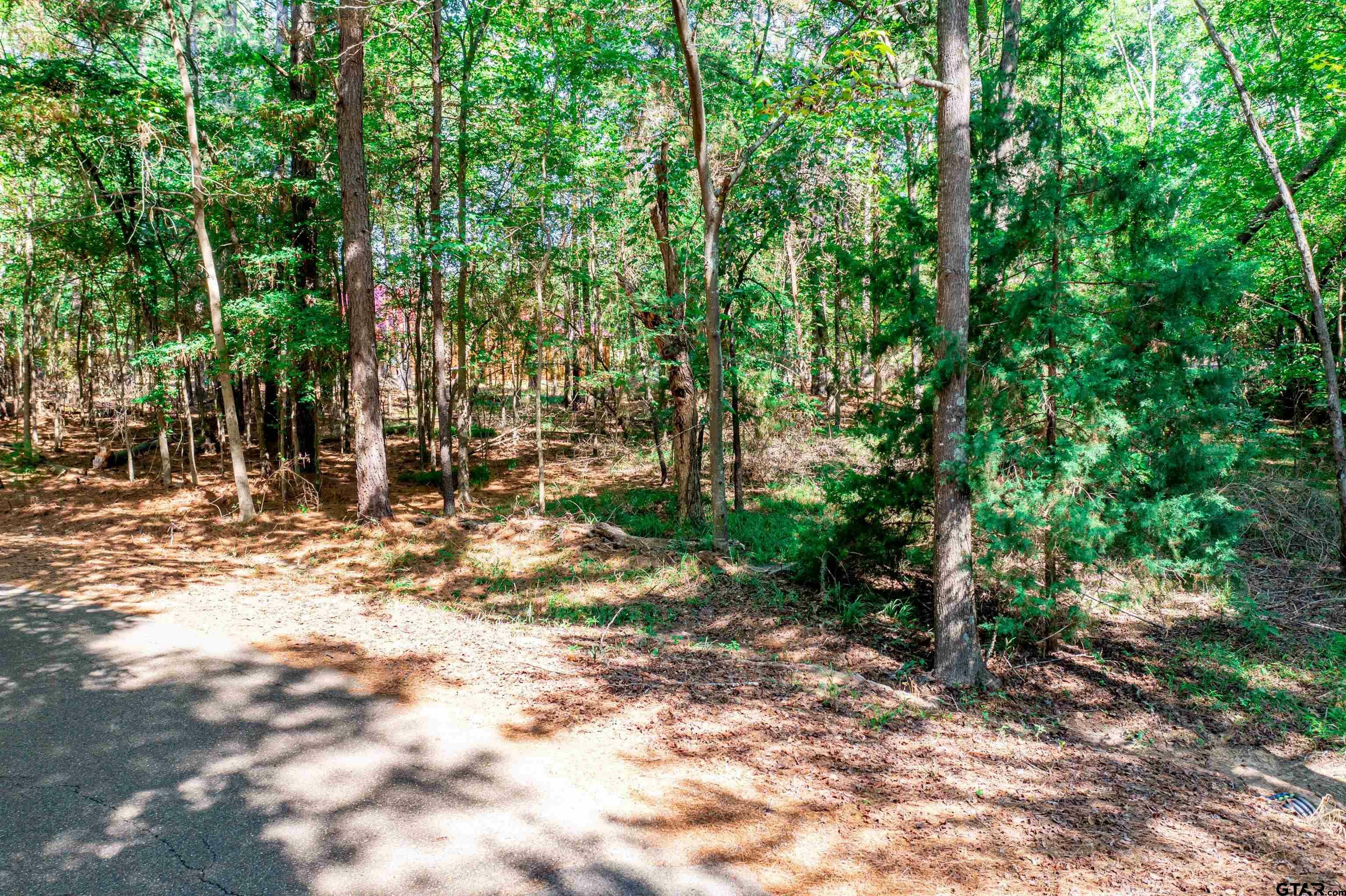 Property Photo:  Lot 27 Wildwood Trl  TX 75457 