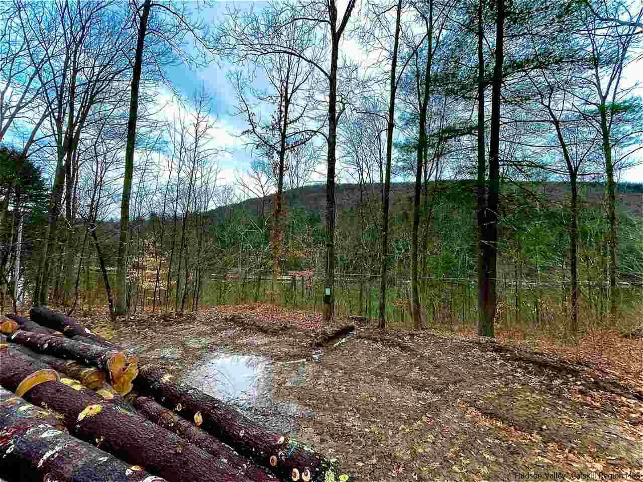 Property Photo:  Lot 3 Acid Factory  NY 12760 