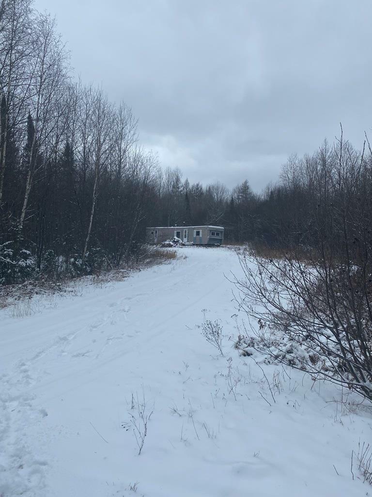 Property Photo:  80 Acres County Line Road  WI 54435 