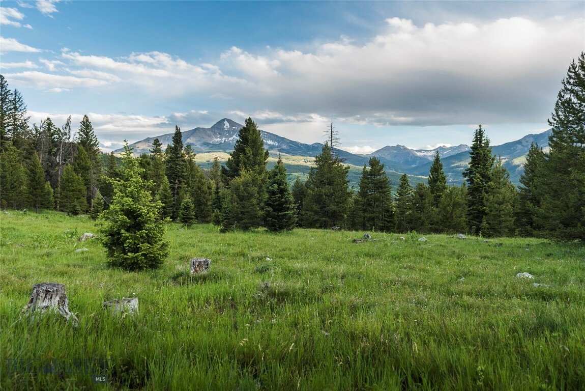 Property Photo: Tbd Jack Creek Road, Moonlight Territory Parcel 5 MT 59729