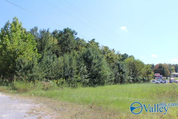 Property Photo: 1 Brindlee Mountain Parkway AL 35016