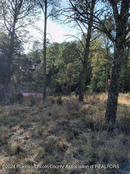 Property Photo:  202 & 204 Lancashire Lane  NM 88345 