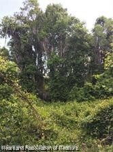 Property Photo:  535 Lakesedge Drive  FL 33852 