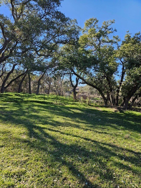 Property Photo: 6207 Pokealong Path TX 78645