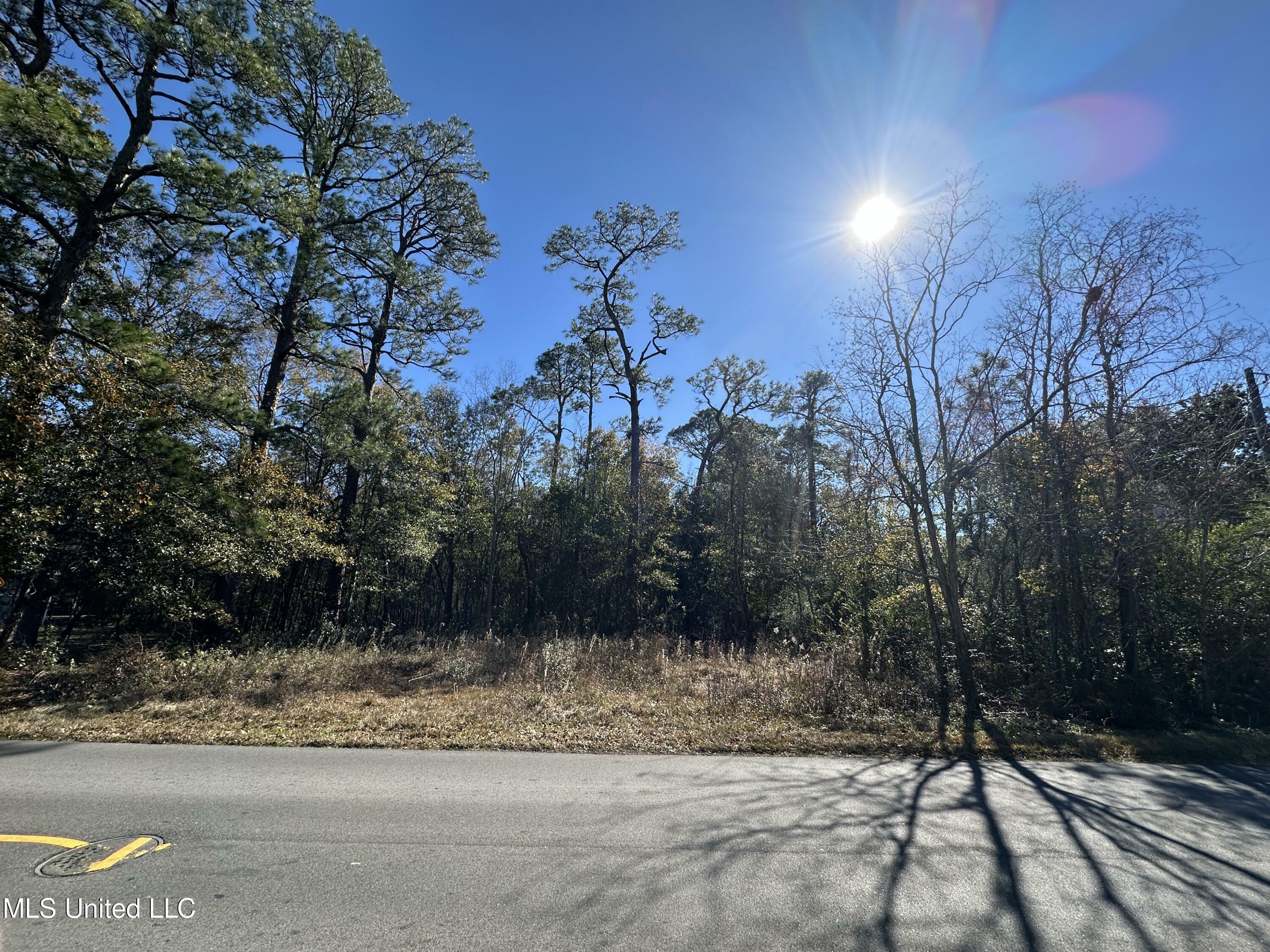 Property Photo:  463 W Magnolia Street  MS 39507 