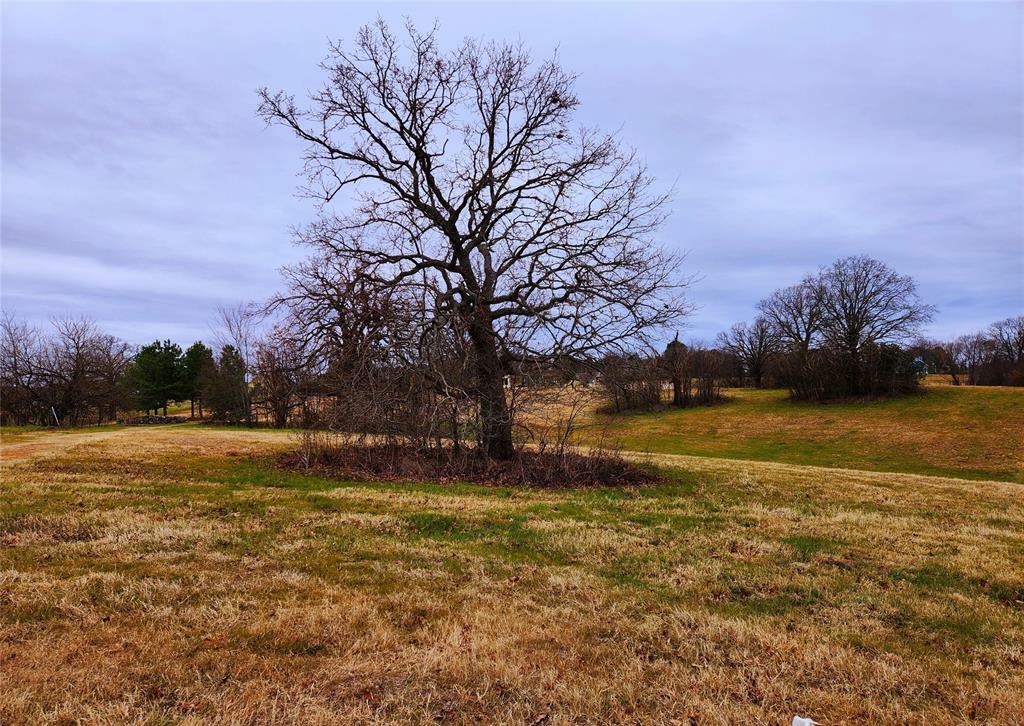 Property Photo:  Lot 125 Clear View Court  TX 75752 