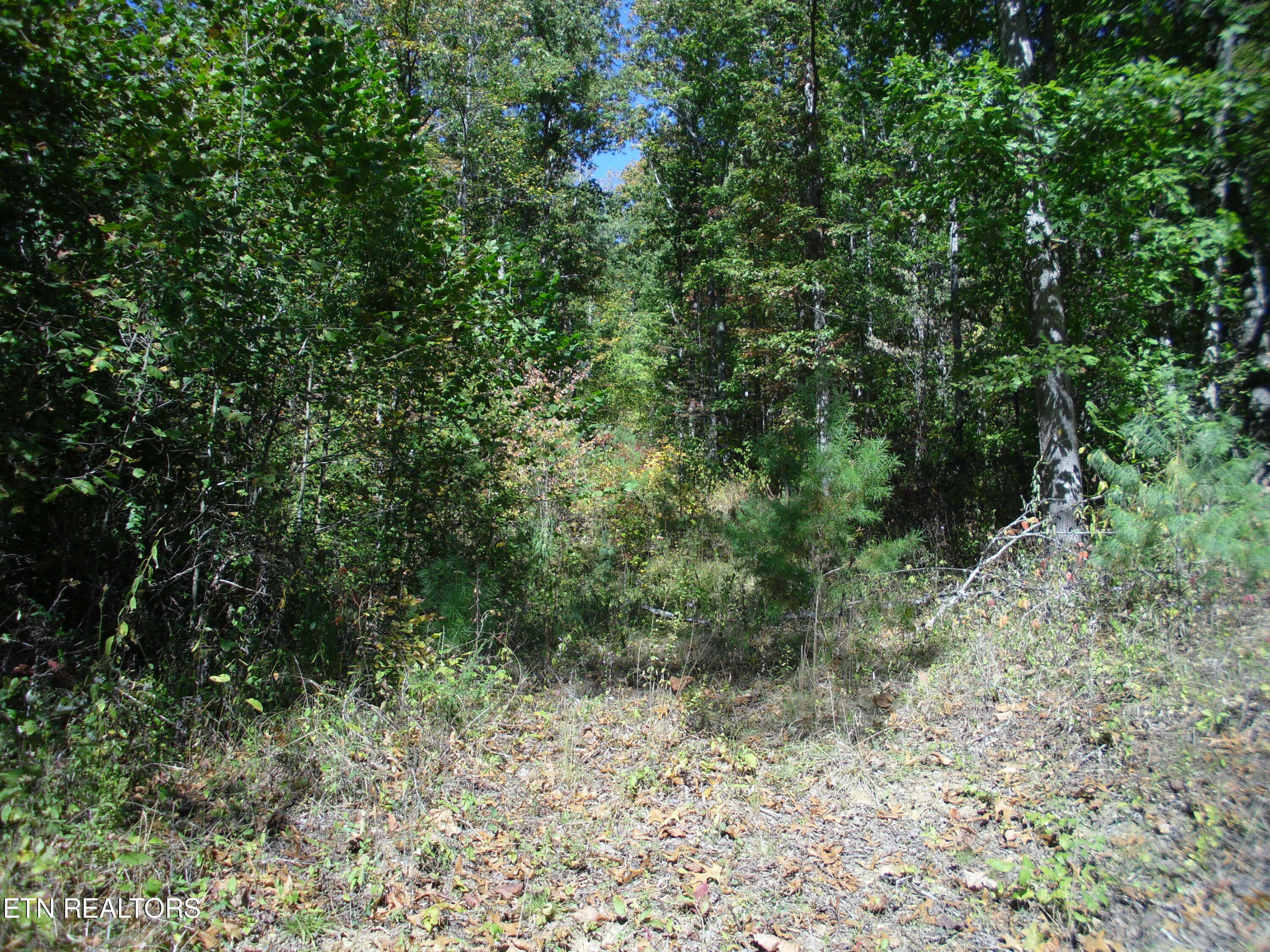 Property Photo:  Honey Creek Loop  TN 37852 